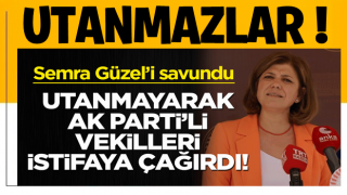 Teröristle fotoğrafları çıkan HDP'li Güzel'i savundu! Utanmadı, AK Partili milletvekillerini istifaya çağırdı