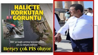 Haliç'te korkutan görüntü: İBB'ye bağlı arıtma tesislerinden koyu renkte su deşarj ediliyor