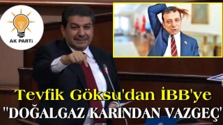 Tevfik Göksu'dan İBB'ye "doğal gaz karından vazgeçme" teklifi