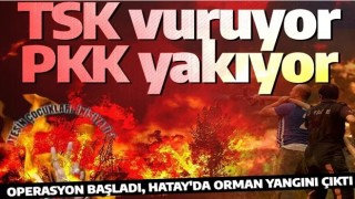 TSK Kuzey Irak'ta PKK'ya ağır darbe vurdu! Teröristler Hatay'da orman yangını çıkardı