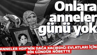 Diyarbakır Anneleri'nin evlat hasretiyle geçen bir Anneler Günü daha!