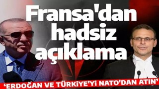 Fransız Senatör Housakos'ten hadsiz açıklama: Türkiye'yi NATO'dan atın