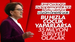 Meral Akşener: Türkiye'de doğumlarla 2053 yılında 35 milyon Suriyeli olacak