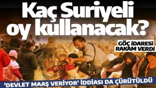 Seçimlerde kaç Suriyeli oy kullanabilecek? Göç İdaresi rakam verdi