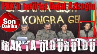 Son dakika: PKK'nın 2 kilit ismi Delal Azizoğlu ve Şükran Alp etkisiz hale getirildi!