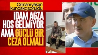 Süleyman Soylu'dan yangınlara caydırıcı ceza için idam vurgusu