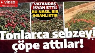 Tonlarca sebzeyi çöpe attılar! Vatandaş isyan etti: Bu nasıl bir insanlıktır