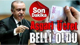 Cumhurbaşkanı Erdoğan asgari ücrette ara zam kararını açıkladı