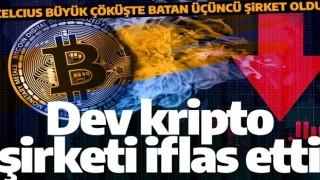 Büyük kripto para çöküşü! Dev şirketler teker teker batıyor!