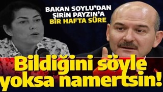 Bakan Soylu'dan Şirin Payzın'a yanıt: Bildiğinizi söylemezseniz namertsiniz