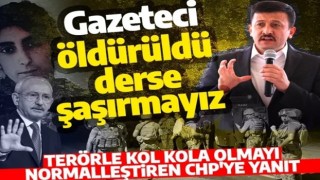 Hamza Dağ: Türkiye'de gazetecilik yaptığı için tutuklanan kimse yoktur