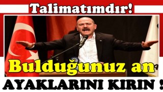 Bakan Soylu: Talimatımdır! Bulduğunuz an ayaklarını kırın