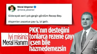 Ömer Çelik'ten Meral Akşener'e: PKK'nın desteğini tonlarca rezene çayı içerek bile hazmedemez