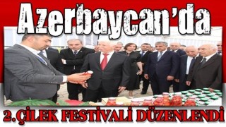 Azerbaycan'da ikinci Çilek Festivali düzenlendi