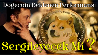 Dogecoin Beklenen Performansı Sergileyecek Mi? DOGE’de Önemli Seviyeler