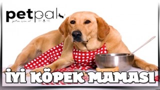 İyi Köpek Maması Nasıl Anlaşılır?