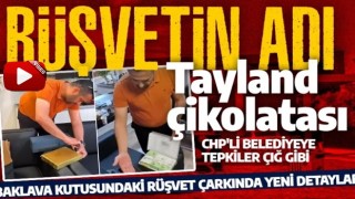 Rüşvetin adı Tayland Çikolatası! CHP'li belediyenin 'baklava kutusundaki rüşvet' çarkında yeni detaylar...