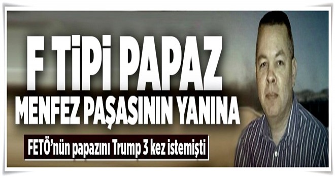 F tipi papaz.