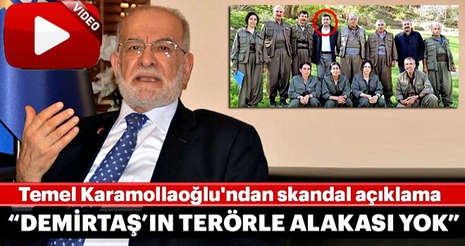 Temel Karamollaoğlu'ndan skandal açıklama: "Selahattin Demirtaş’ın terörle alakası yok"