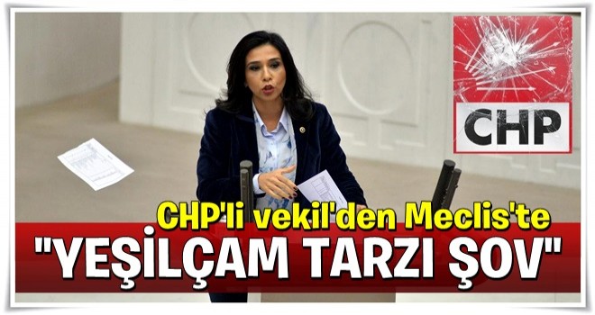 CHP'li Gülay Yedekçi'nin Meclis'te bütçe şovu