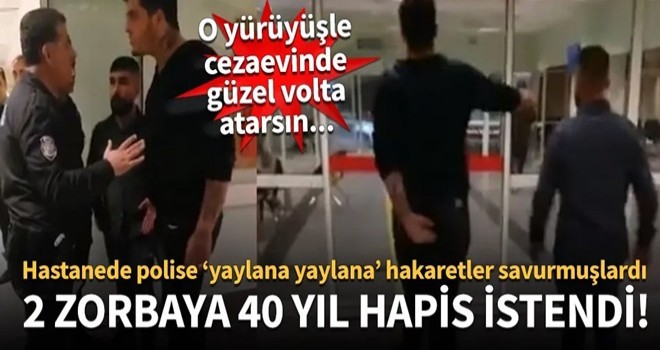 Polise diklenen iki şehir eşkiyası hakkında istenen ceza belli oldu!