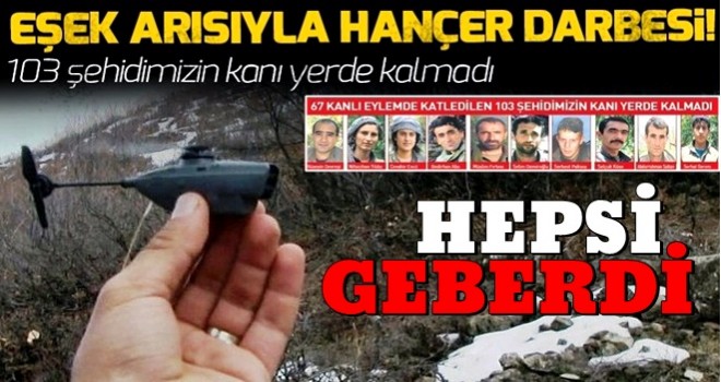 Eşek arısıyla hançer darbesi .