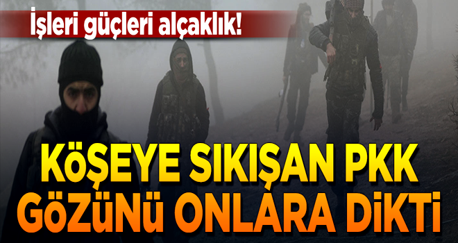 Köşeye sıkışan PKK, ÖSO’cuların ailelerini kaçırıyor!