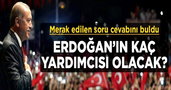Merak edilen soru cevabını buldu! Cumhurbaşkanı Erdoğan'ın kaç yardımcısı olacak?