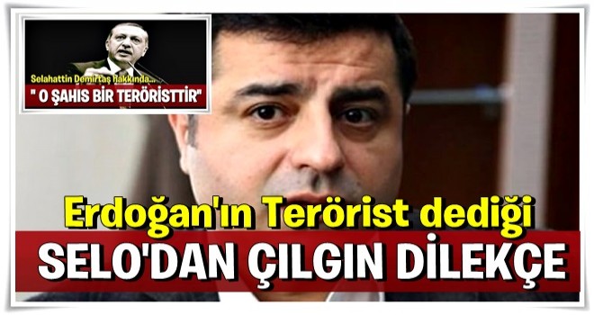 Demirtaş'tan çılgın dilekçe! Baydemir okudu