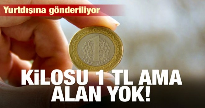 Kilosu 1 lira ama alan yok! Yurtdışına gönderiliyor