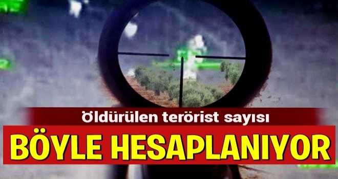 Öldürülen terörist sayısı nasıl hesaplanıyor?