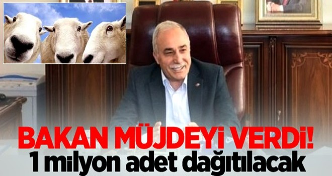 Bakan müjdeyi verdi! 1 milyon adet dağıtılacak