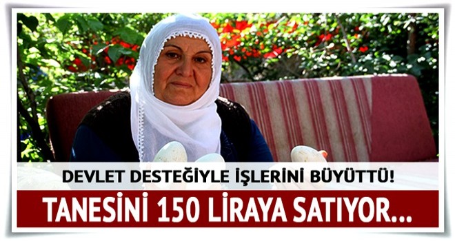 63 yaşında kaz yetiştiriciliğine başlayarak, aile ekonomisine katkı sağlıyor