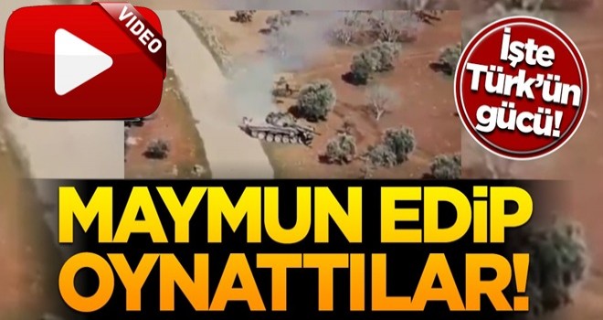 İşte Türk'ün gücü! Maymun edip oynattılar