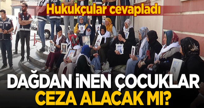 Dağdan inen çocuklar ceza alacak mı? Hukukçular cevapladı