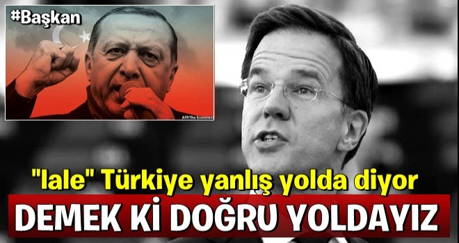 Hollanda'dan küstah çıkış: Türkiye yanlış yolda