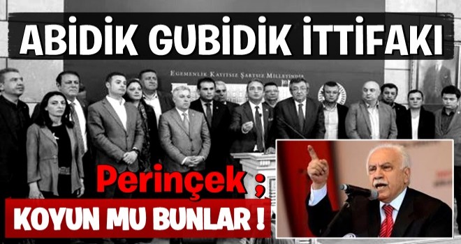 Perinçek hülleci vekillere yüklendi! Koyun mu bunlar?