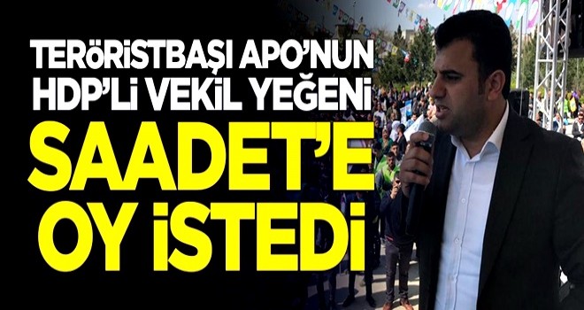 Teröristbaşı Abdullah Öcalan'ın HDP'li vekil yeğeni Saadet'e oy istedi!