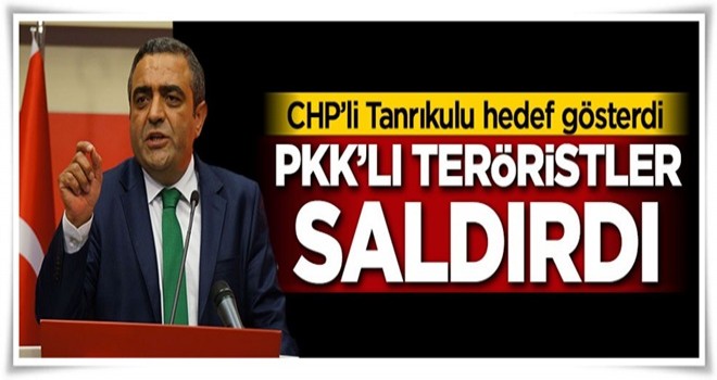 Tanrıkulu hedef gösterdi! PKK'lı teröristler saldırdı