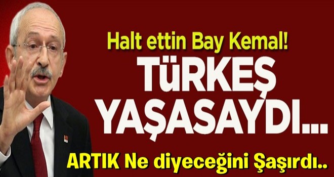 Halt ettin Bay Kemal! Türkeş yaşasaydı...