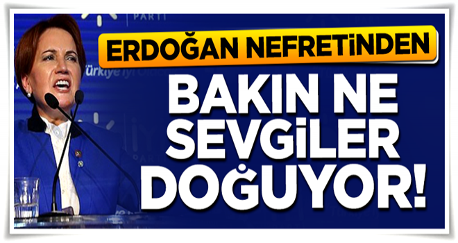 ''Bakın, Erdoğan nefretinden ne sevgiler doğuyor''