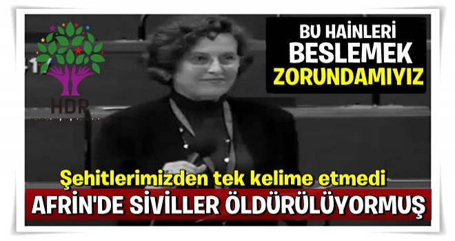 HDP'li Kerestecioğlu, Türkiye'yi Avrupa'ya şikayet etti