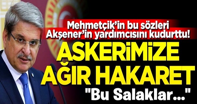 Mehmetçik’in bu sözleri Akşener’in yardımcısını kudurttu! Askerimize ağır hakaret