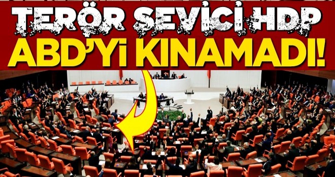 HDP'liler, ABD'yi kınama kararına