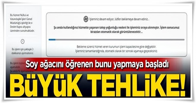 Büyük tehlike! Soy ağacını öğrenenler bunu yapmaya başladı