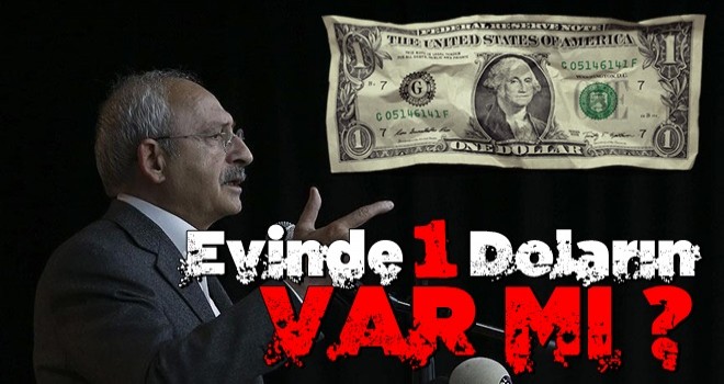 Evinde 1 doları var mı?