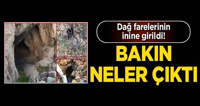 PKK'nın inine girildi! Bakın neler çıktı