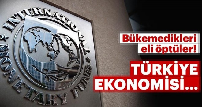 IMF'den dikkat çeken Türkiye açıklaması