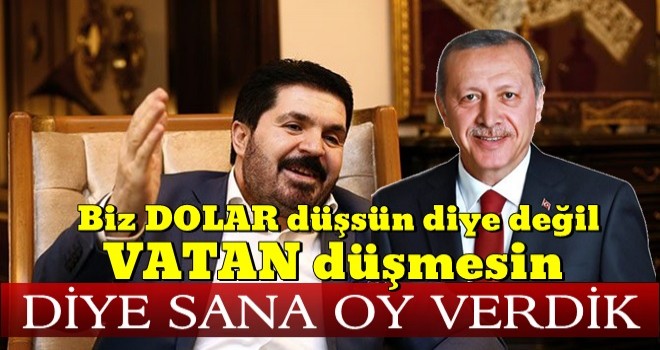 Savcı Sayan'dan günün yorumu: Vatanı dolar olanlar...