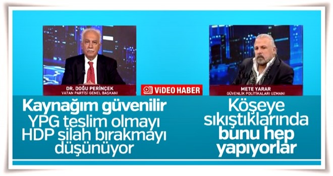 Doğu Perinçek: PKK teslim olmayı tartışıyor